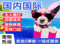 银川河东国际宠物托运 【国